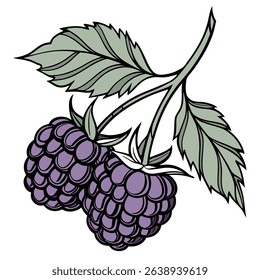 Features blackberries on a branch with leaves against a transparent backdrop. Illustrates a detailed design, ideal for various creative projects.