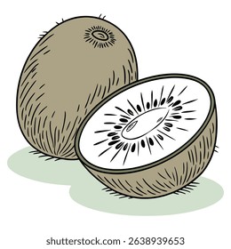 Apresenta ilustração de desenho animado de um kiwi inteiro com pele peluda ao lado de um kiwi fatiado mostrando sua carne branca e sementes pretas com fundo transparente.