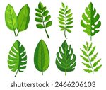 features eight different types of green leaves, each with distinct shapes and vein patterns. diverse foliage showcases various botanical designs, ideal for nature-related graphics and design projects
