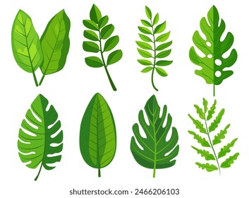 features eight different types of green leaves, each with distinct shapes and vein patterns. diverse foliage showcases various botanical designs, ideal for nature-related graphics and design projects