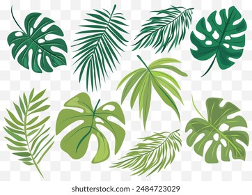 features eight different types of green leaves, each with distinct shapes and vein patterns. diverse foliage showcases various botanical designs, ideal for nature-related graphics and design projects