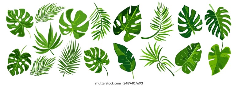 features eight different types of green leaves, each with distinct shapes and vein patterns. diverse foliage showcases various botanical designs, ideal for nature-related graphics and design projects