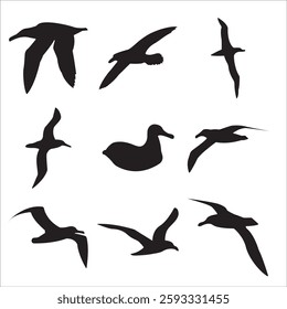 features nine black silhouettes of different albatrosses, each depicted in a different position and style, showing various activities and postures.
