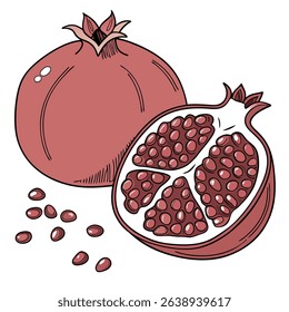 Features pomegranate with visible seeds and a half section. The art is presented on a white backdrop, styled in a color illustration.