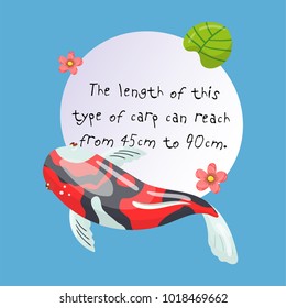 Features of Shova Carp Koi, traditional sacred Japanese fish, element for creating your own infographic design with handwritten text, vector Illustration