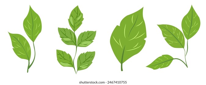 featuring eight different types of green leaves. Each leaf showcases unique shapes and vein patterns. graphic is simple, clean, and vibrant, ideal for nature-themed designs and eco-friendly projects