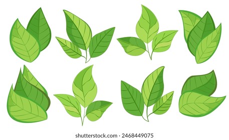 featuring eight different types of green leaves. Each leaf showcases unique shapes and vein patterns. graphic is simple, clean, and vibrant, ideal for nature-themed designs and eco-friendly projects