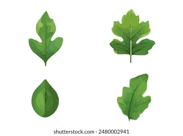 featuring eight different types of green leaves. Each leaf showcases unique shapes and vein patterns. graphic is simple, clean, and vibrant, ideal for nature-themed designs and eco-friendly projects