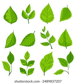 con ocho diferentes tipos de hojas verdes. Cada hoja muestra Formas y patrones de venas únicos, gráficos simples, limpios y vibrantes, ideales para diseños de temática natural y proyectos ecológicos