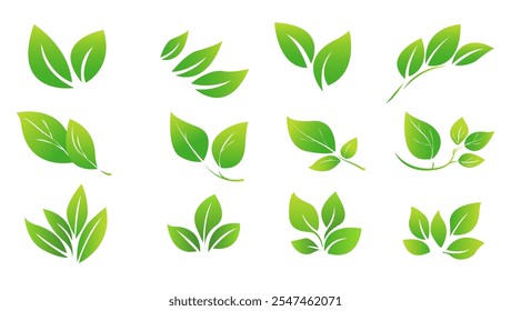 featuring eight different types of green leaves. Each leaf showcases unique shapes and vein patterns. graphic is simple, clean, and vibrant, ideal for nature-themed designs and eco-friendly projects