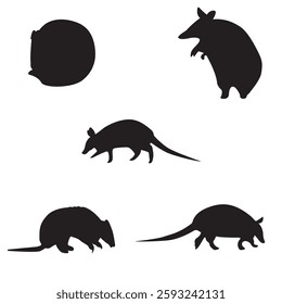 featuring five black silhouettes of different armadillo, each armadillo is depicted in a different position and style, showing various activities and postures.