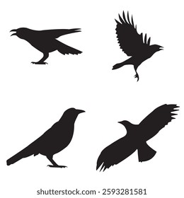 featuring four black silhouettes of different crows, Each crow is depicted in a different position and style, showing various activities and postures.