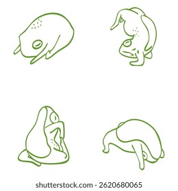 Featuring a frog with a cute happy style expression in a simple line art design, reflecting joy and life.
