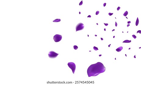  February 14 petals of a purple rose fly far into the distance. isolated background.

