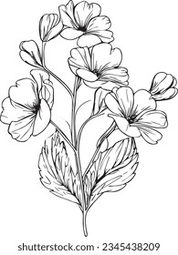 Geburtsblume im Februar, Blütenzeichnung der Primula, Blumenfärbeseite der Primrusblume, Tätowierungsdesigns für Primrusblumen