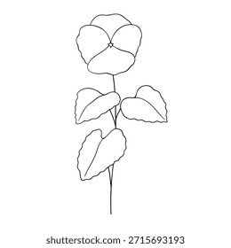 Florita de nacimiento de febrero violeta, Vector de arte de línea, ilustración botánica en blanco y negro, boceto floral elegante, dibujo de contorno minimalista, diseño de flores monocromo dibujado a mano, estética vintage