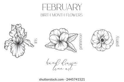 February Birth Month Flowers. Iris outline isolated on white. Primrose, Pansy Line Art. Hand drawn line art botanical illustration. Black and White Flowers