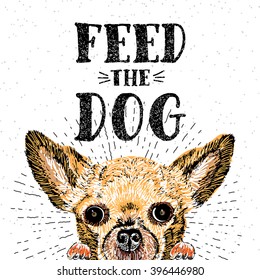 Feed the dog. Vector illustration with hand drawn lettering and dog on texture background. Inscriptions for dog lovers. Painted brush lettering. Custom typography. Calligraphic. Demanding phrase.