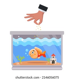 feed food to fish in a rectangular aquarium. domestic water pet. flat vector illustration.