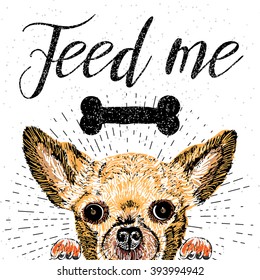 Feed me. Vector illustration with hand drawn lettering and dog on texture background. Inscriptions for pet lovers. Painted brush lettering. Custom typography. Calligraphic. Poster, demanding phrase.