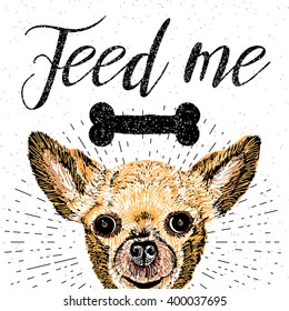 Feed me. Vector illustration with hand drawn lettering and dog on texture background. Inscriptions for pet lovers. Painted brush lettering. Custom typography. Calligraphic. Poster, demanding phrase.