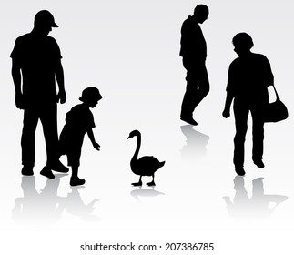 Feed a swan