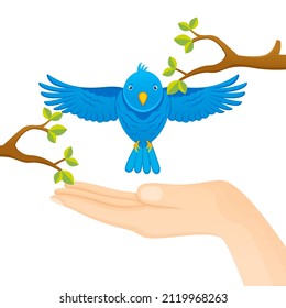 Feeding bird background design template. feeding bird design vector illustration.