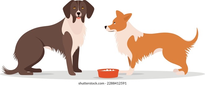 Feeding Cute Dogs And Simple Dog
