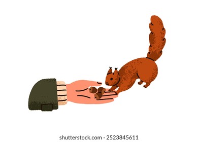 Alimentar a la ardilla linda con bellotas en la mano. Interacción amistosa con roedor esponjoso. Animal del bosque que come la comida, mano que da las nueces en la palma. Ilustración vectorial plana aislada sobre fondo blanco