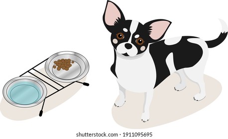 feeding the dog, veterinary diet, the dog stands near the bowl and waits for food. Vector illustration for business cards, banners of veterinary clinic, pet shop, pet products