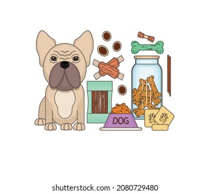 Feeding the dogs. Next to the dog is a bowl of dry food and pet snacks. Multi-colored image. Close-up. There is free space for text. Vector illustration.