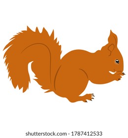 Feeding red squirrel with bushy tail. Monochrome silhouette. Isolated vector illustration.