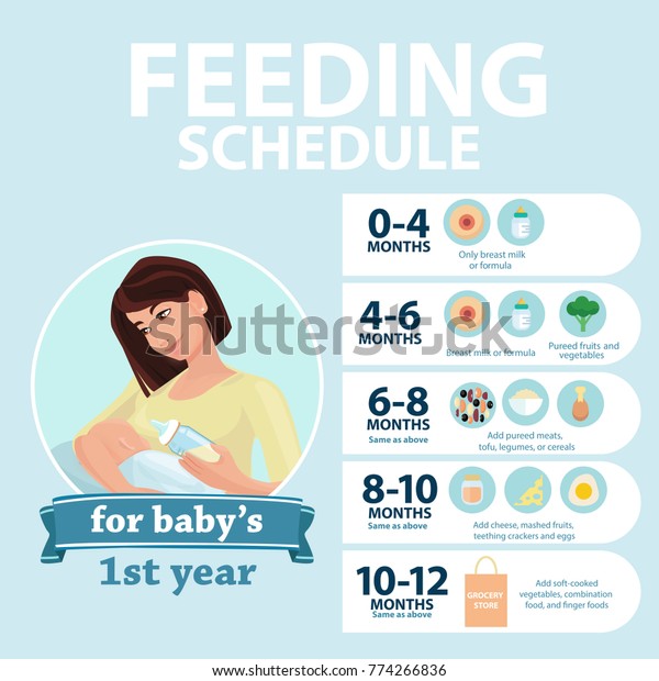 Calendrier D Alimentation Des Bebes 1 An Image Vectorielle De Stock Libre De Droits