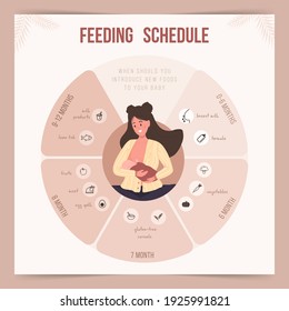 Feeding schedule in the first year of life. Baby food infographic. Young mother nursing newborn baby. Vector illustration in flat cartoon style.
