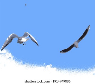 Feeding seagulls by tossing slices of bread up
