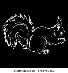 Feeding squirrel. Hand drawn linear sketch. White silhouette on black background.