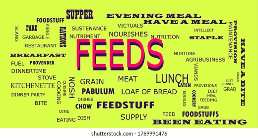 Feeds text presented in red color with multiple related words on white background vector abstract background.