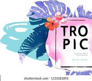 The feeling of the cool tropical shape and texture