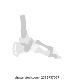 Feet Bone icon in vector. Logotype