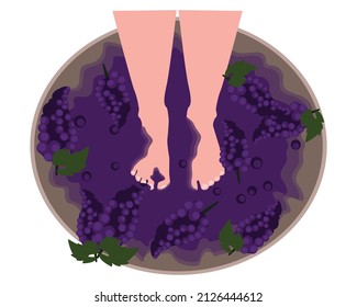 Feet crush grape berries in a wooden thicket. Picking Grapes. Flat vector illustration. Eps10