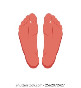 Feet, Human Body Part Illustration