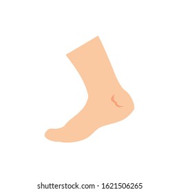 feet icon design, Human body person people health anatomy biology and science theme Vector illustration