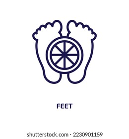 feet icon from religion collection. Thin linear feet, foot, footprint outline icon isolated on white background. Line vector feet sign, symbol for web and mobile