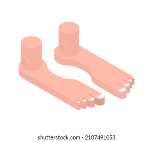 Feet isometric isolated. Toes vector illustration. Two legs