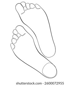 Feet one line drawing on white isolated background