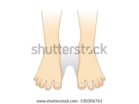 Feet Vector Front View Illustration About Stock Vector (Royalty Free ...