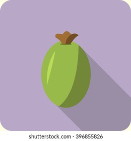 feijoa fruit flat icon with long shadow. feijoa fruit icon in material design style