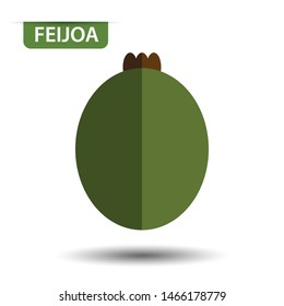 feijoa, fruit on white background. Flat design style. vector illustration.