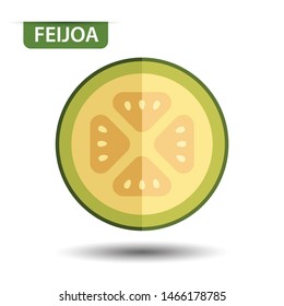 feijoa, fruit on white background. Flat design style. vector illustration.