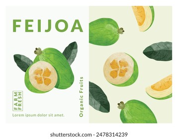 Feijoa Frucht-Verpackungs-Design-Vorlagen, Aquarell-Stil Vektorillustration.